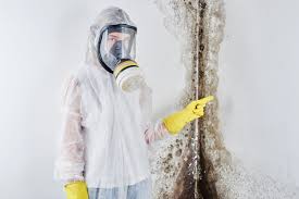 Best Residential Mold Inspection & Testing  in Grapeland, TX